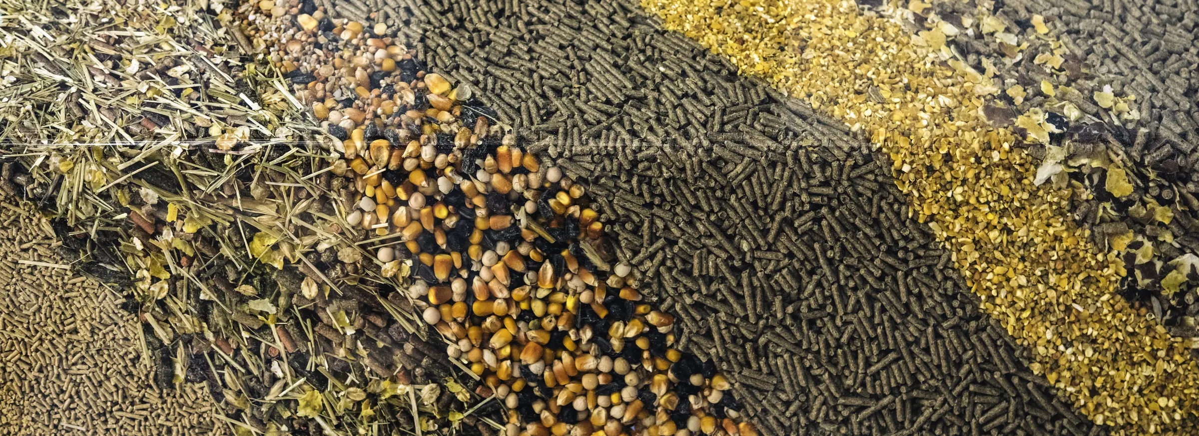 Animal nutrition feed materials and grains